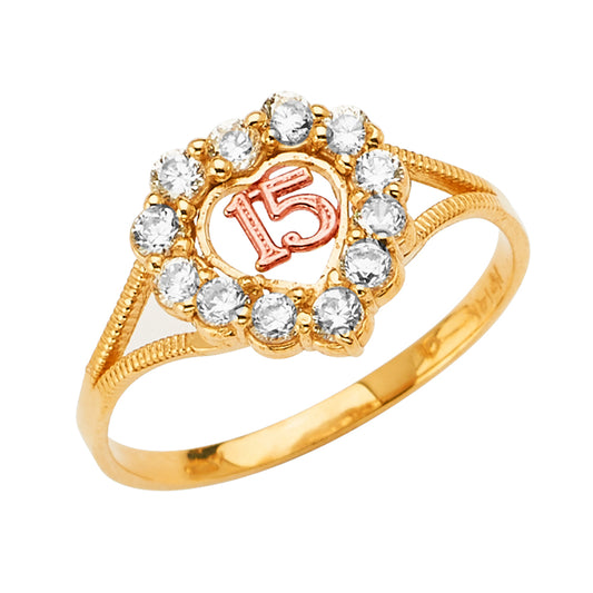 14K Two-Tone Gold Quinceañera Heart with Cubic Zirconia Halo