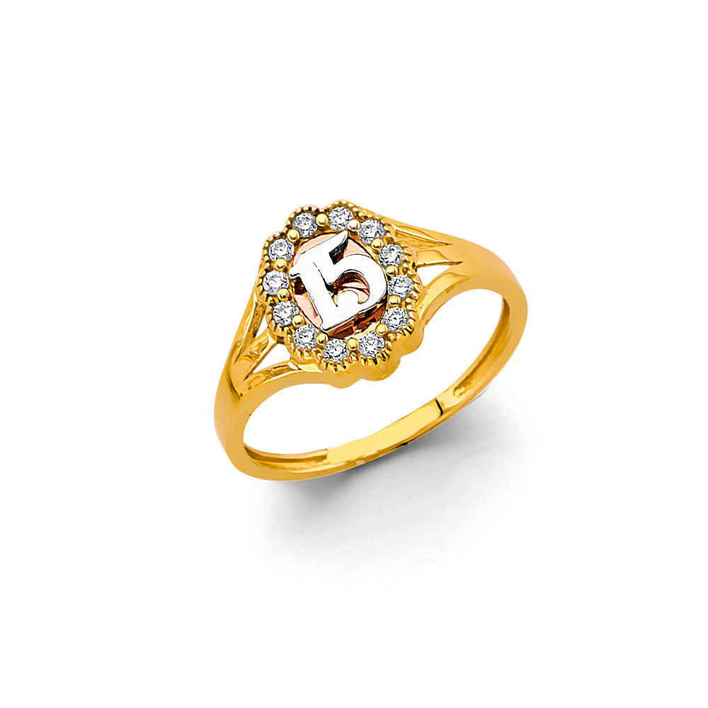14K Tri-Color Gold Quinceañera Heart with Radiant Center and CZ Halo