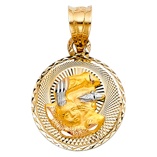 14K Tri-Color Gold Baptism Round Medallion Pendant