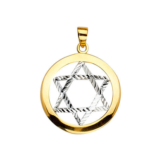 14K Two-Tone Gold Star of David Pendant