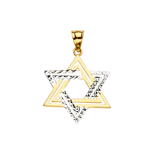 14K Two-Tone Gold Star of David Pendant