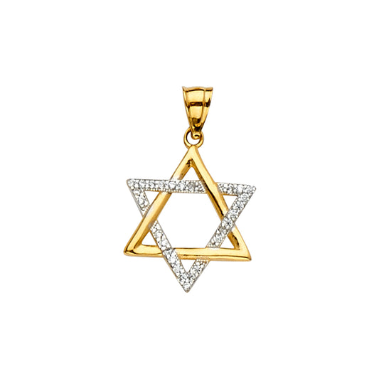 14K Two-Tone Gold Star of David CZ Pendant